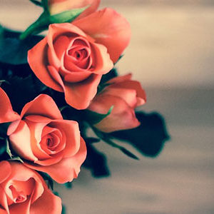 Floral Arrangements Almajlis Events